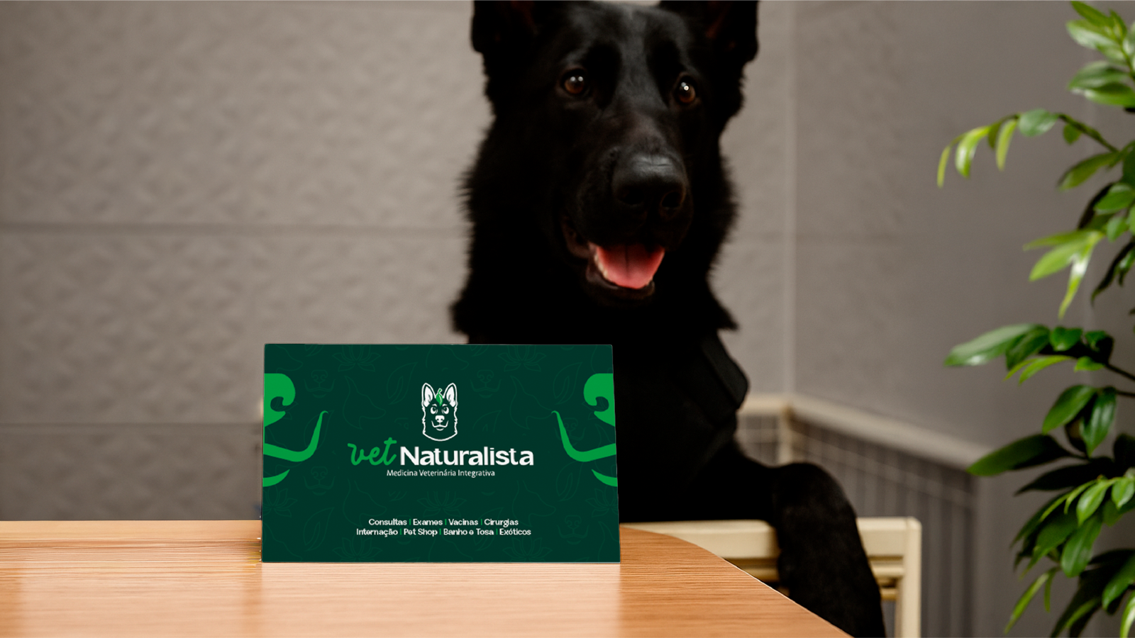 APRESENTAÇÃO NATURALISTA VET ANIMÉDICOS