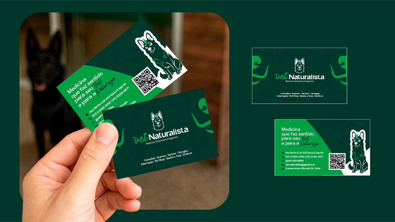 APRESENTAÇÃO NATURALISTA VET ANIMÉDICOS