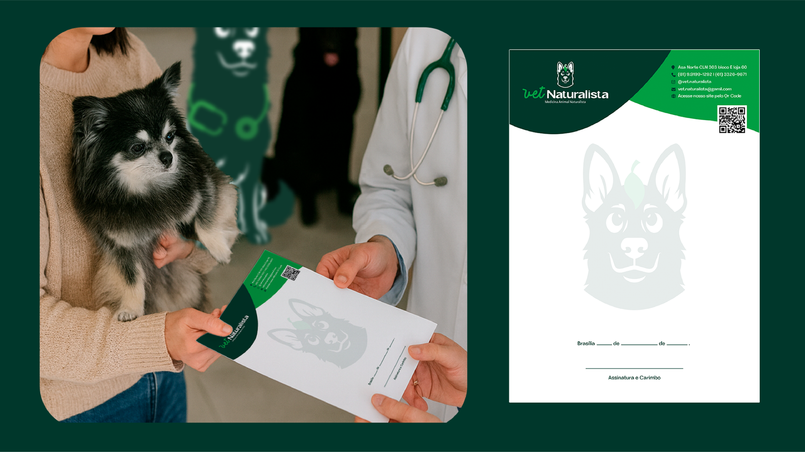 APRESENTAÇÃO NATURALISTA VET ANIMÉDICOS