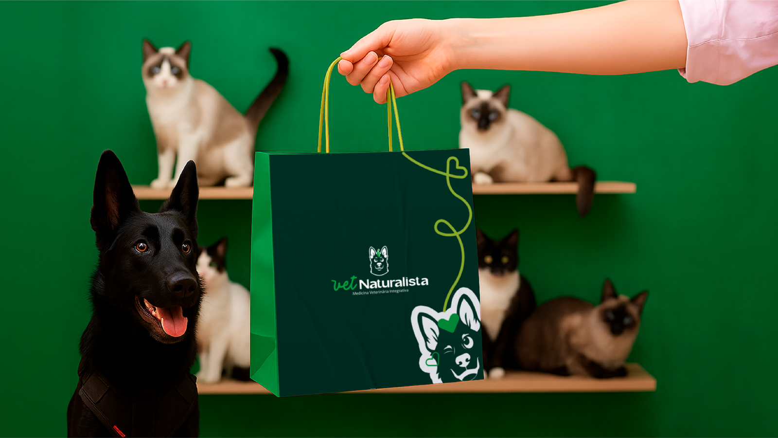 APRESENTAÇÃO NATURALISTA VET ANIMÉDICOS