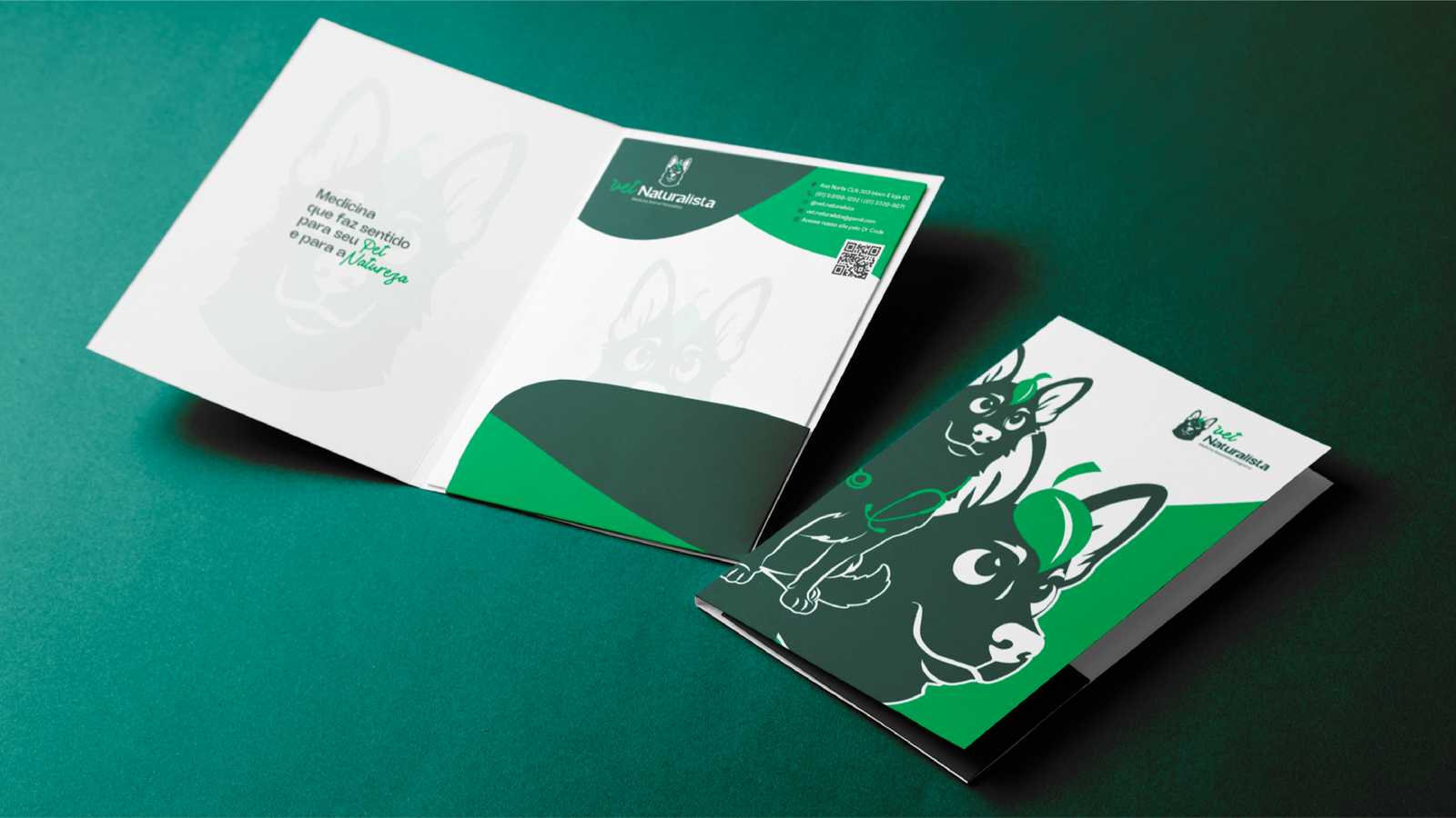 APRESENTAÇÃO NATURALISTA VET ANIMÉDICOS