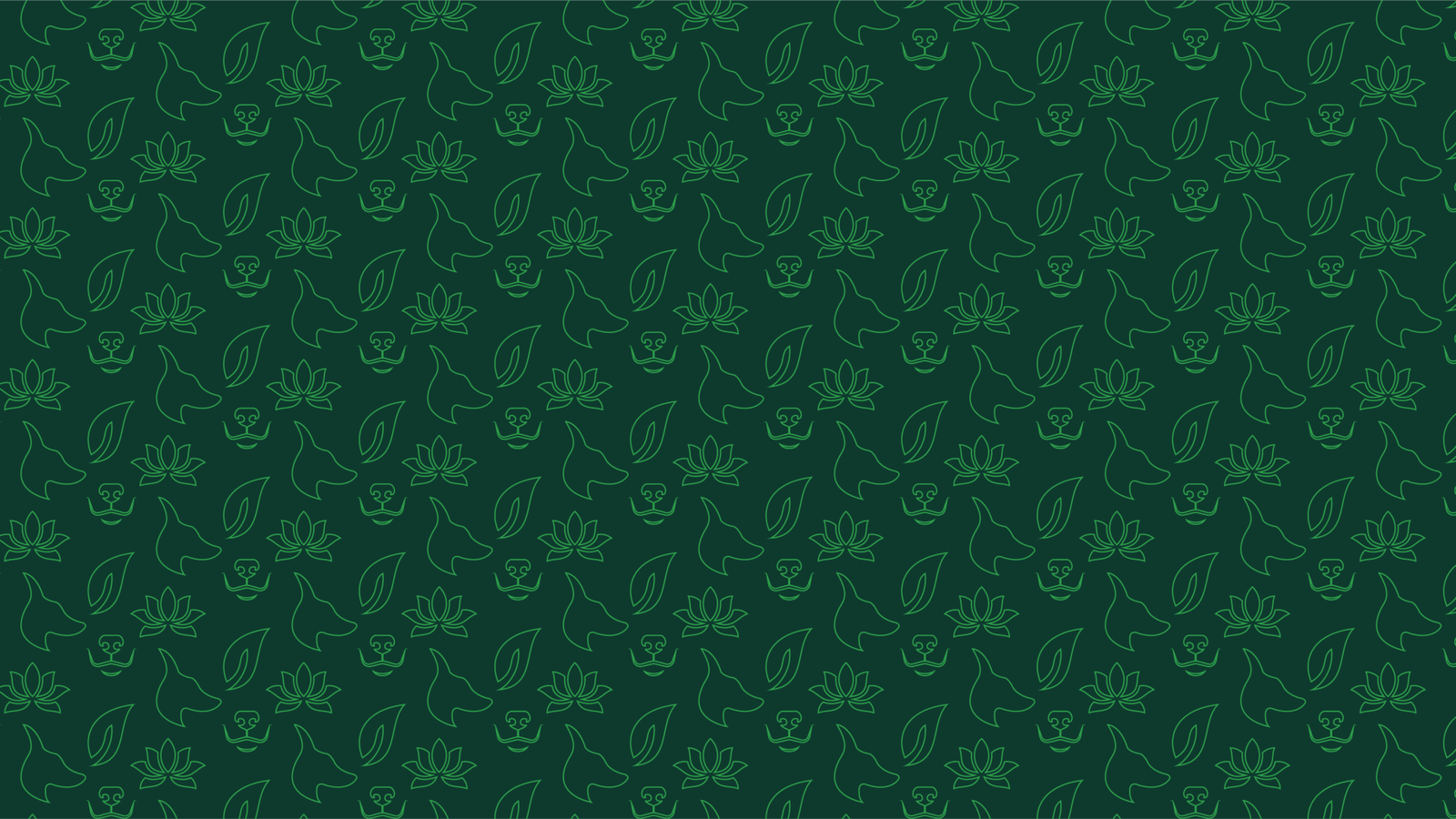 APRESENTAÇÃO NATURALISTA VET ANIMÉDICOS