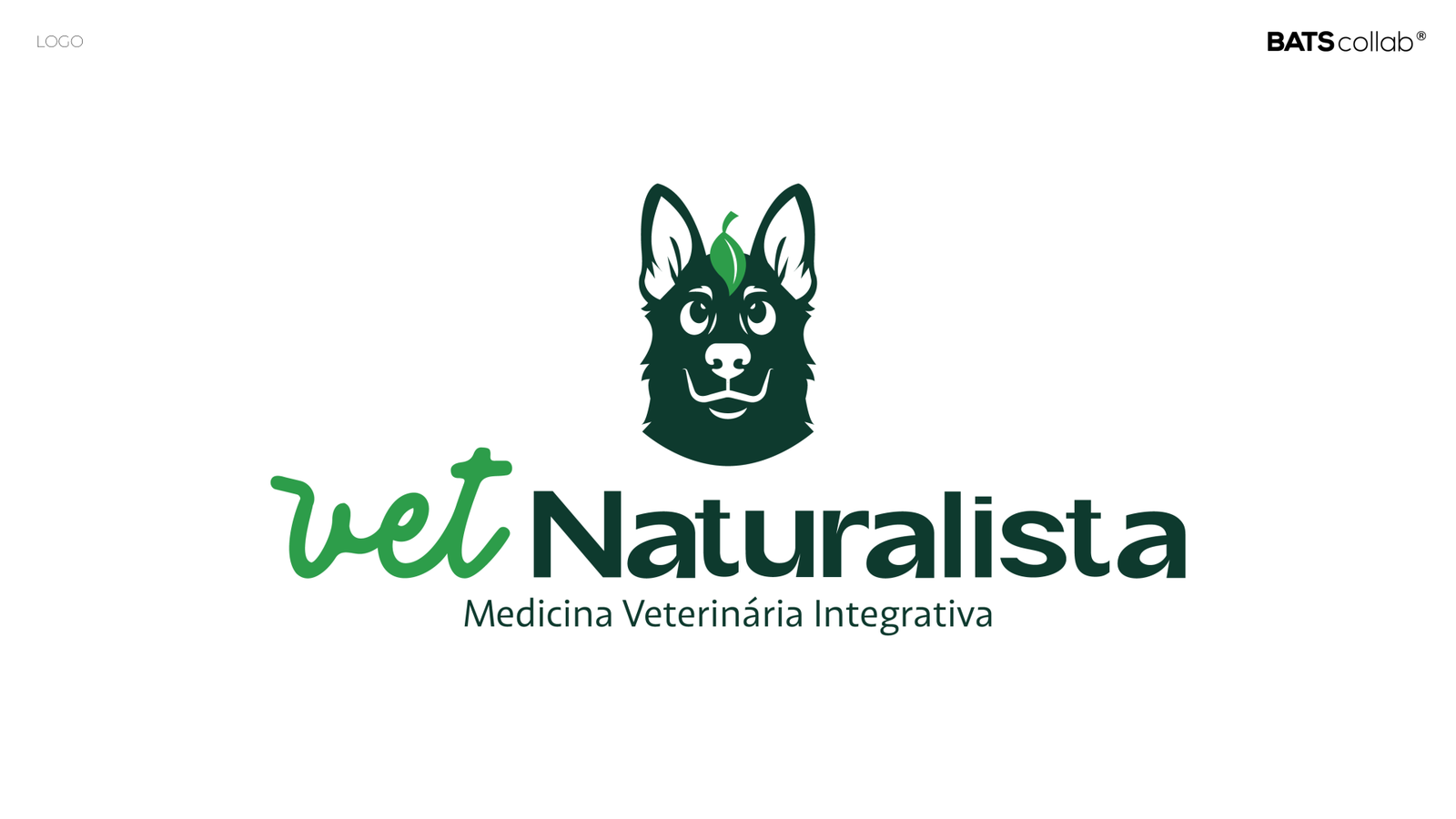 APRESENTAÇÃO NATURALISTA VET ANIMÉDICOS LOGO