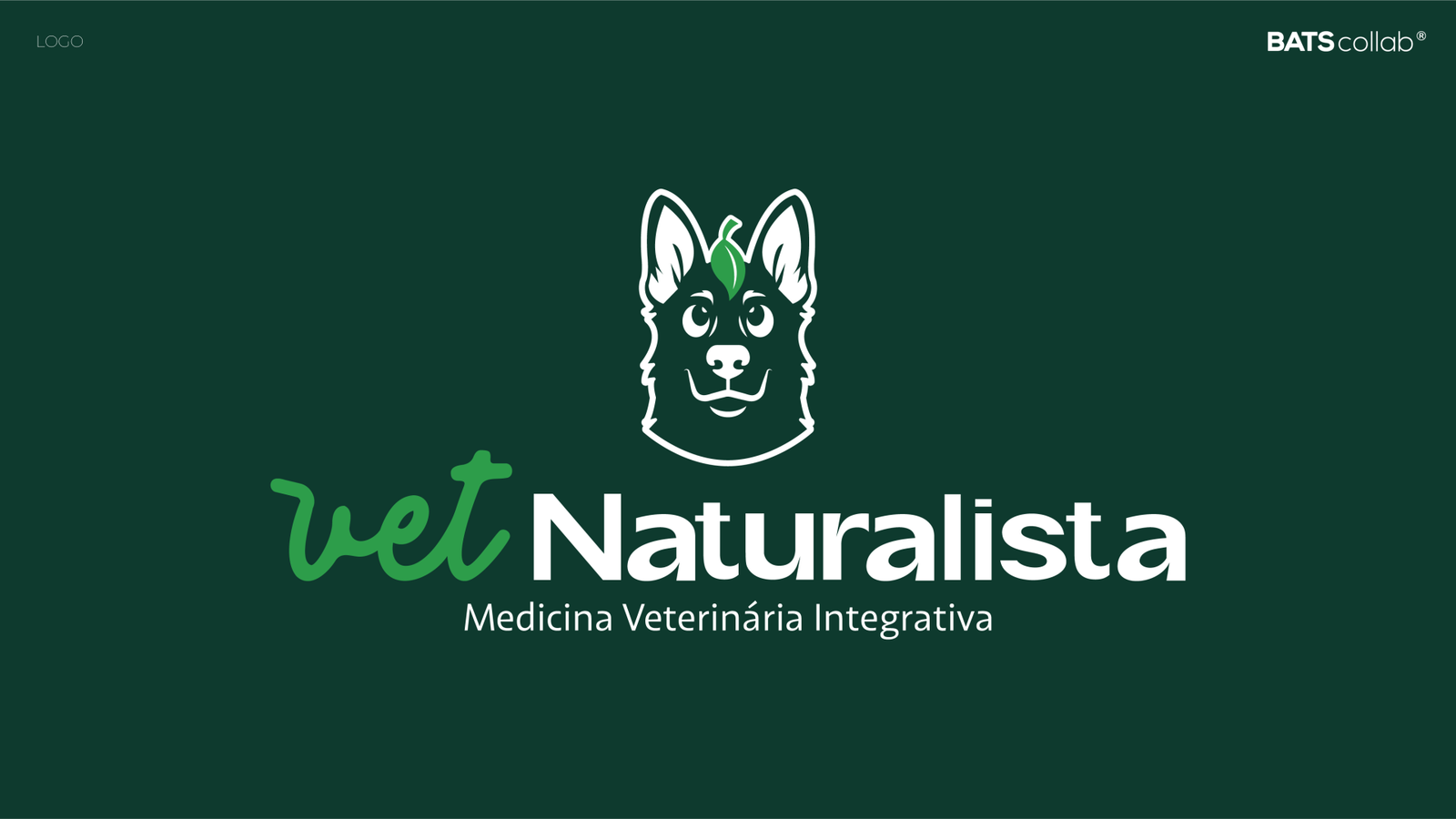APRESENTAÇÃO NATURALISTA VET ANIMÉDICOS LOGO
