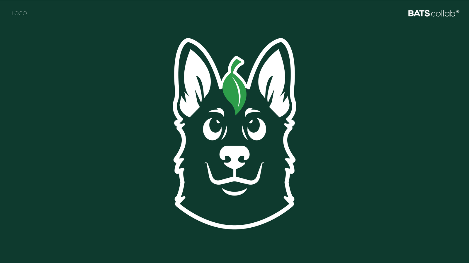 APRESENTAÇÃO NATURALISTA VET ANIMÉDICOS LOGO 2 cópia