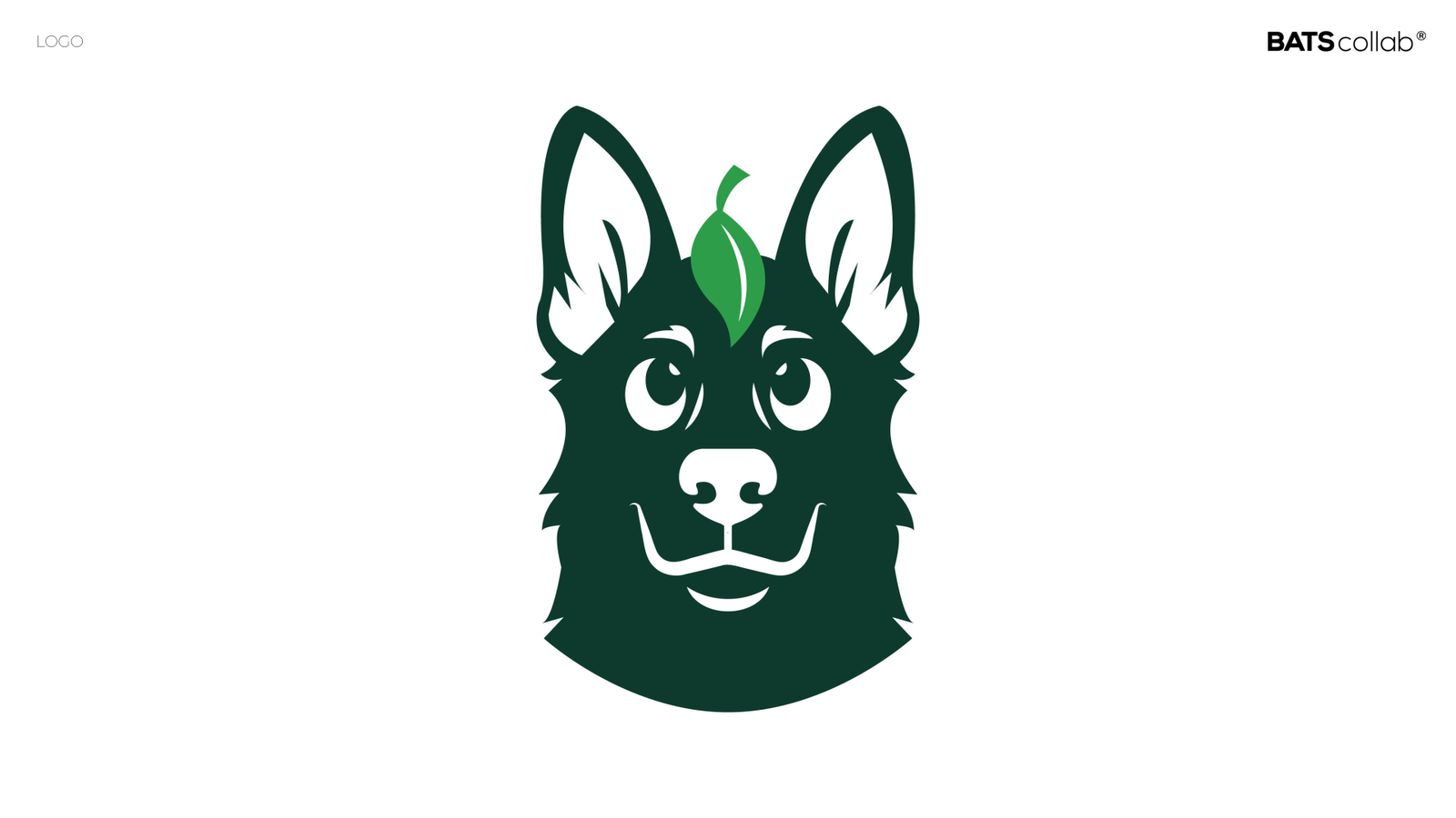 APRESENTAÇÃO NATURALISTA VET ANIMÉDICOS LOGO cópia