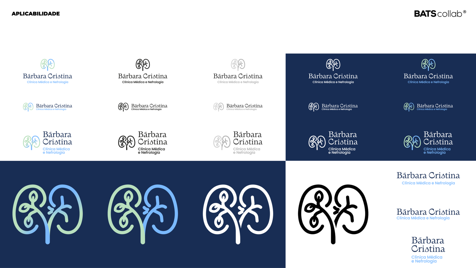 APRESENTAÇÃO BÁRBARA CRISTINA APLICABILIDADE